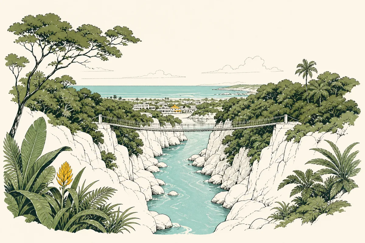 Illustration of a turquoise river gorge below a slender swing bridge, rainforest crowding both banks and a small coastal town on the flats beyond